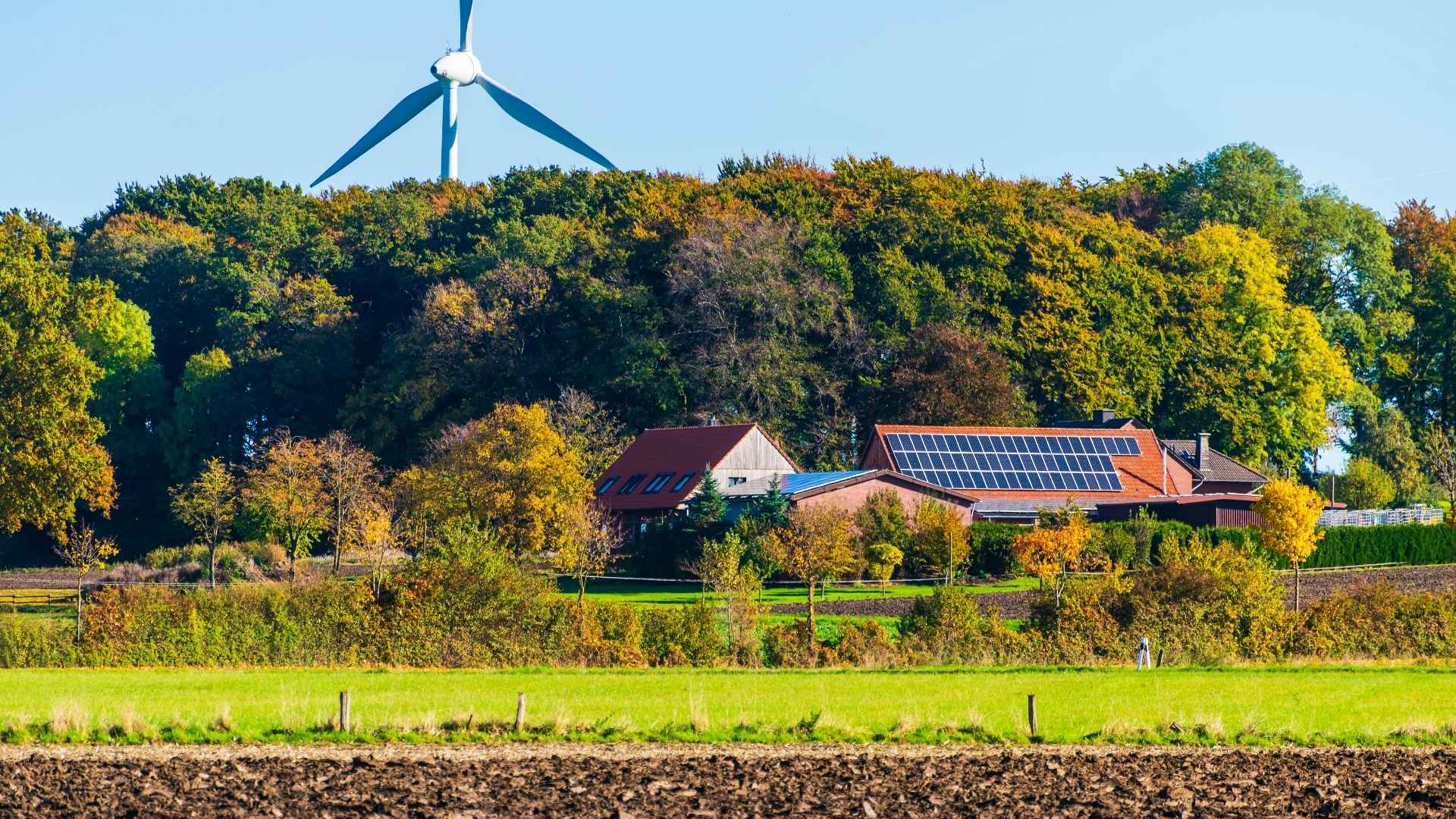 Insieme per lo sviluppo del settore agroalimentare